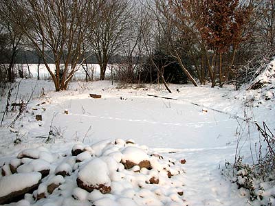 Teich im Winter