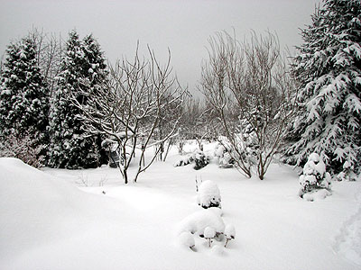 Wintergarten